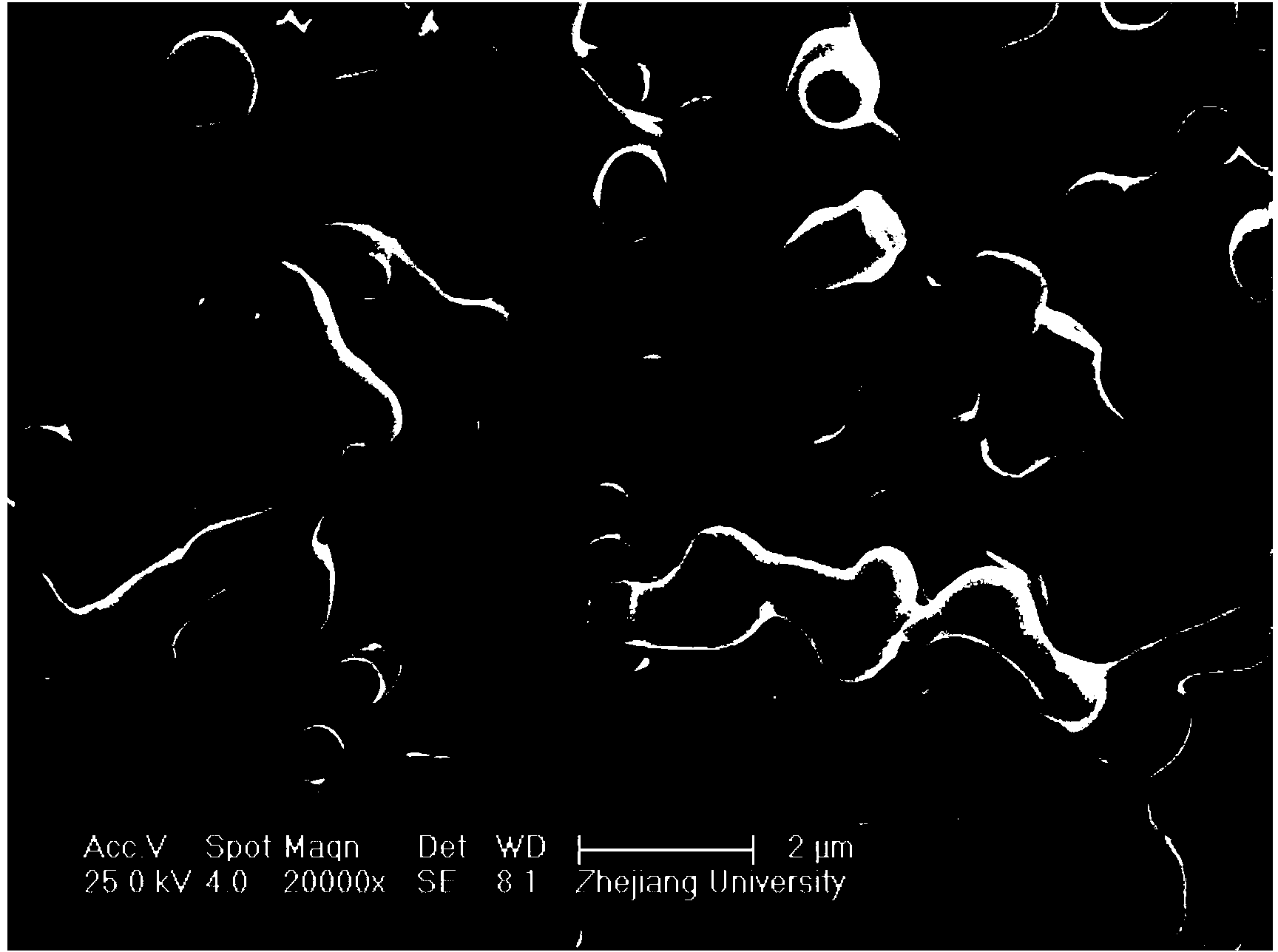 Preparation method of porous aluminum phosphate block