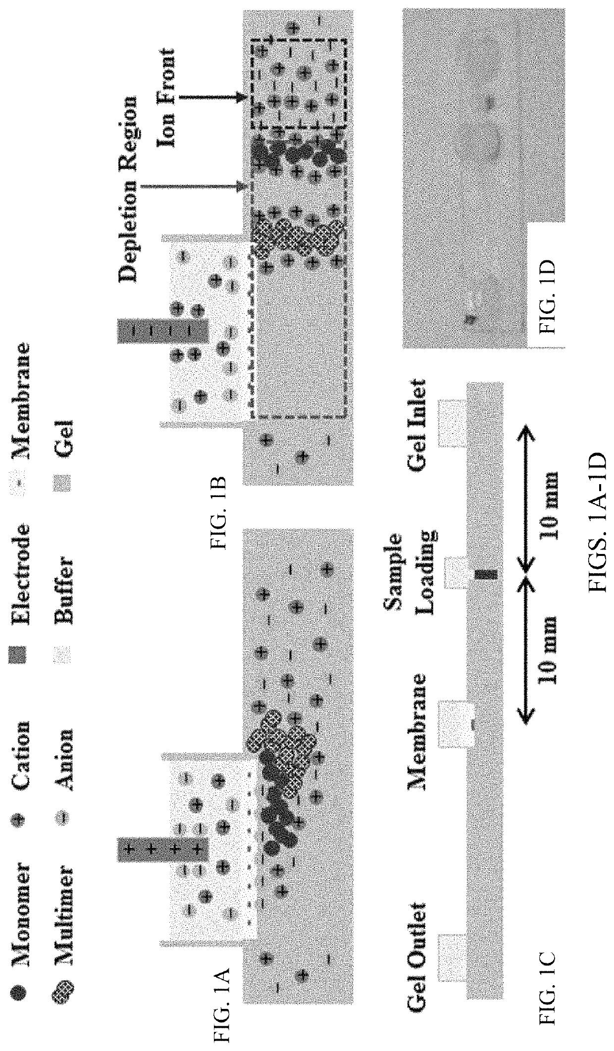 Ultra-sensitive multi-target lateral flow molecular assay with field-induced precipitation