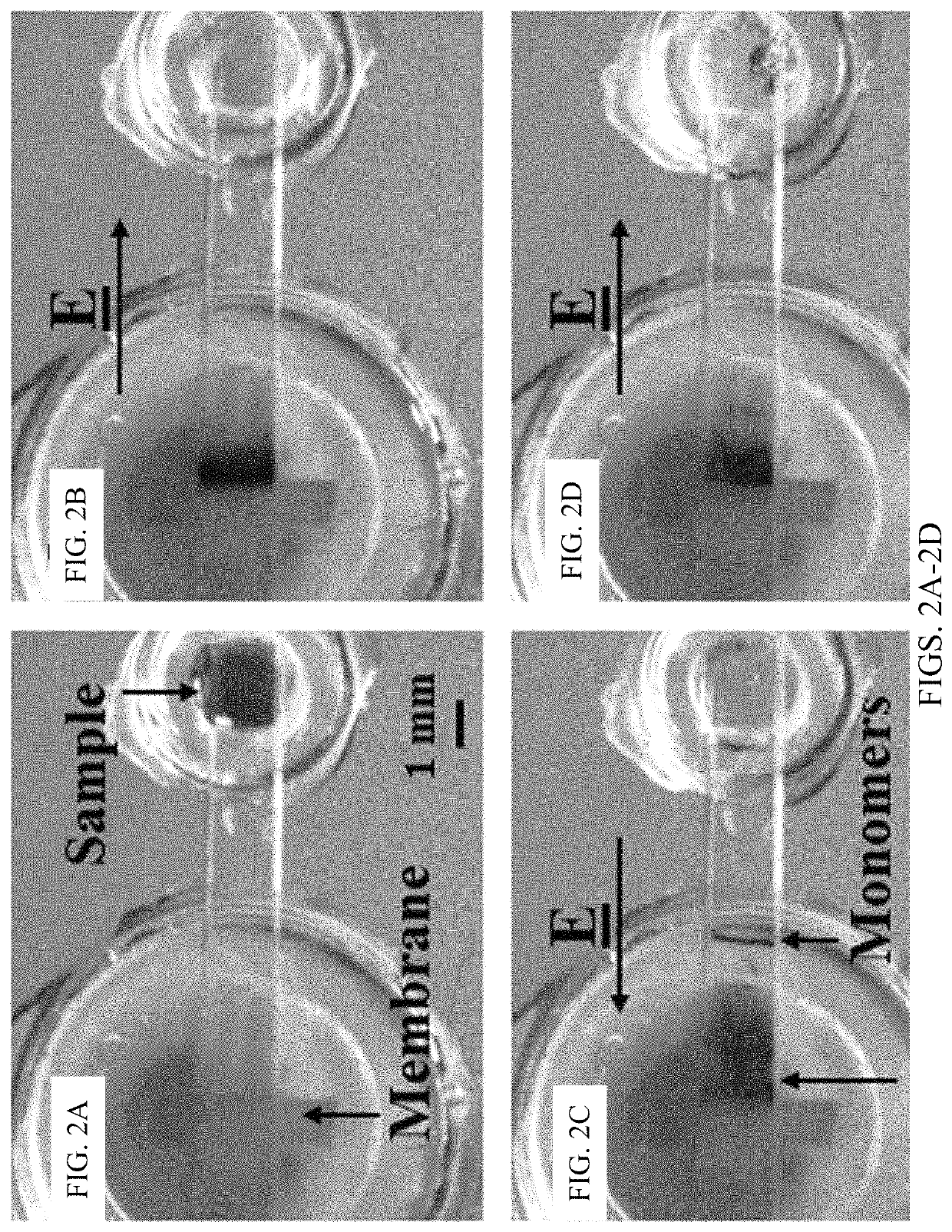 Ultra-sensitive multi-target lateral flow molecular assay with field-induced precipitation