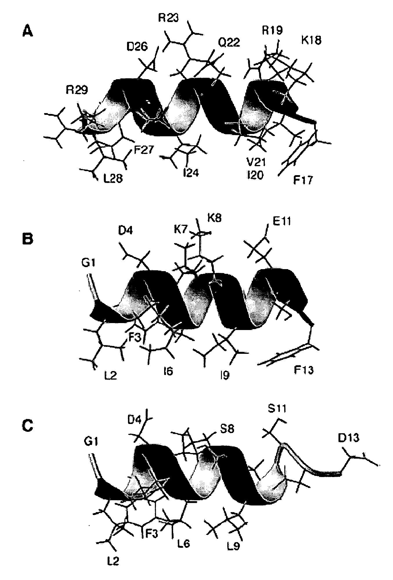 Antimicrobial peptides and methods of identifying the same