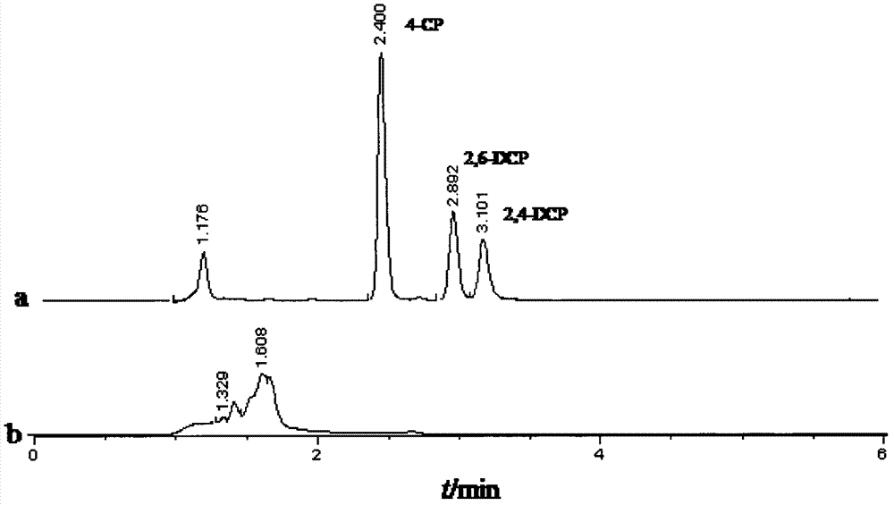 Method for determining trace chlorophenol endocrine disruptor in water