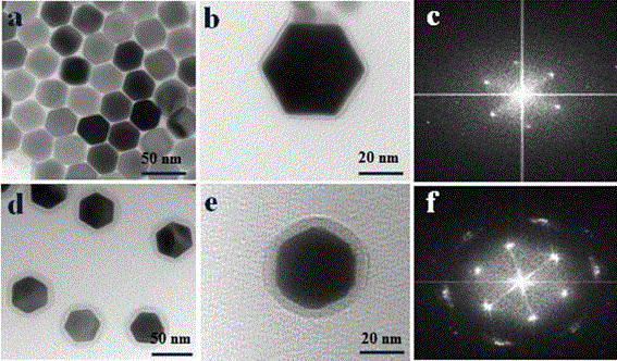 Lectin-functionalized-hydrophilic-polymer-coated up-conversion fluorescence nanoparticle and application and preparation method thereof