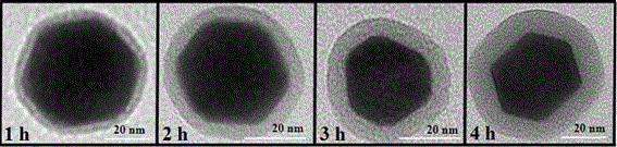 Lectin-functionalized-hydrophilic-polymer-coated up-conversion fluorescence nanoparticle and application and preparation method thereof