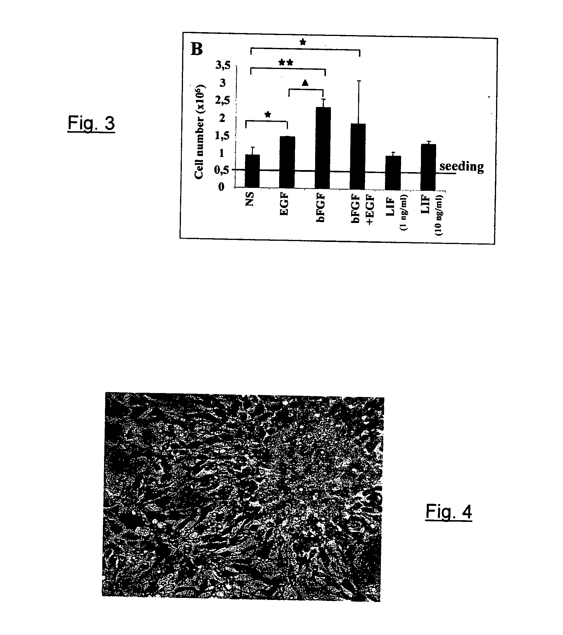 Method for production of neurons from cells of a cell line