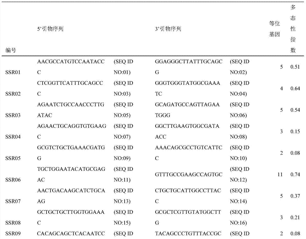 Establishing method of cymbidium microsatellite labels, core fingerprint label database and kit