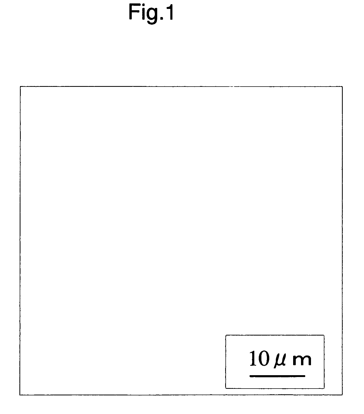 Polylactic acid resin composition, process for producing the same, biaxially stretched polylactic acid film, and molded articles thereof