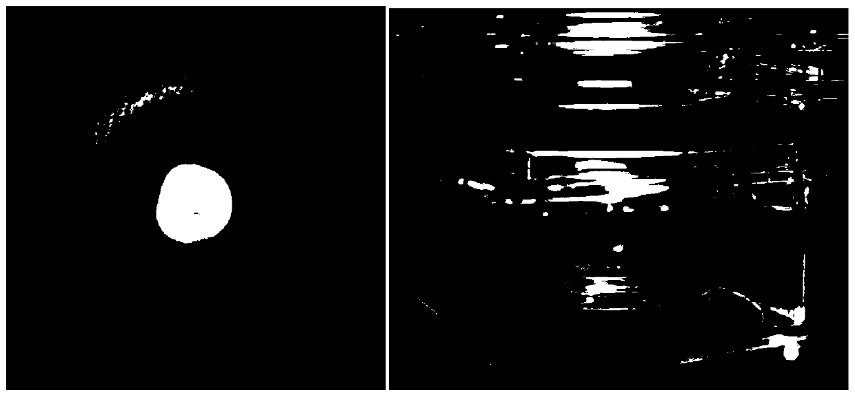 Preparation method of 3D tissue engineering cell ring