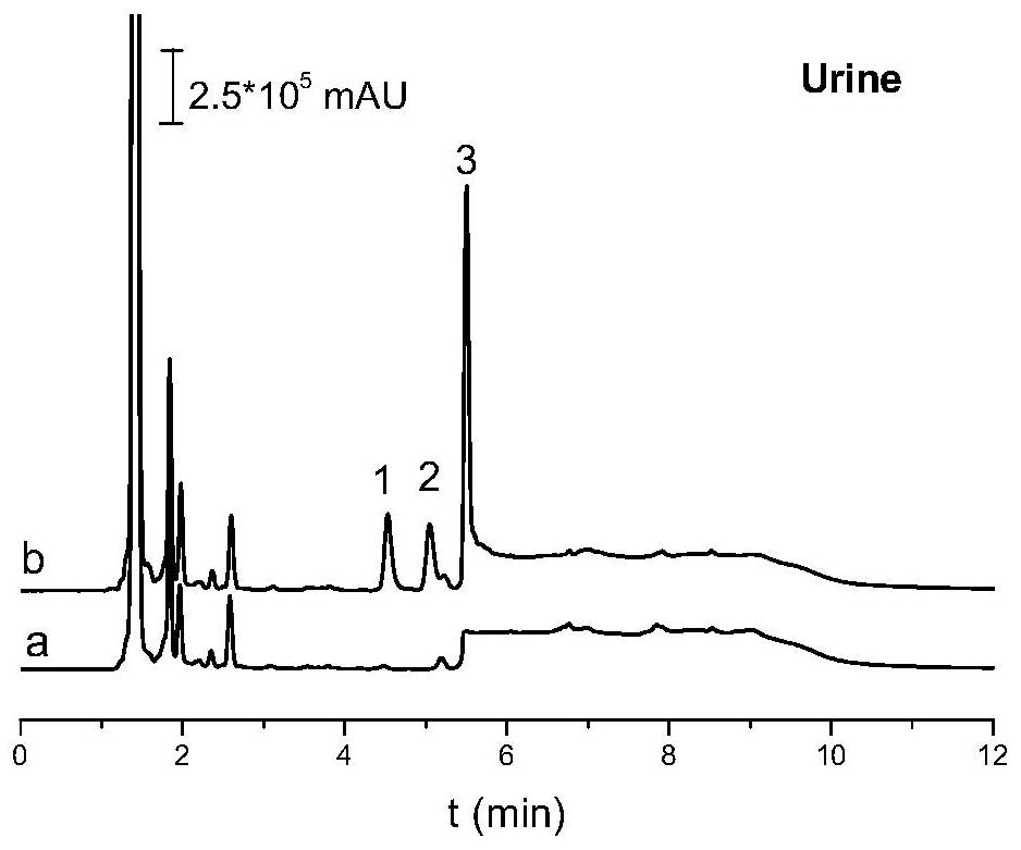 Pretreatment method and quantitative detection method of quinolone antibiotics in biological sample