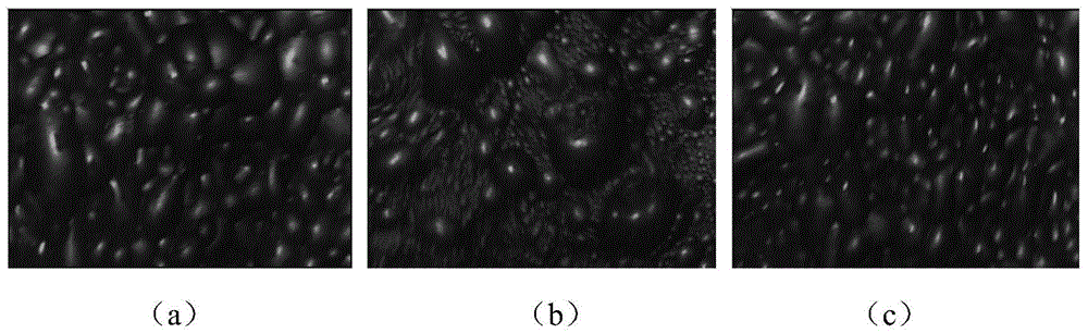 Extraction method of multi-scale and multi-directional texture features of foam images