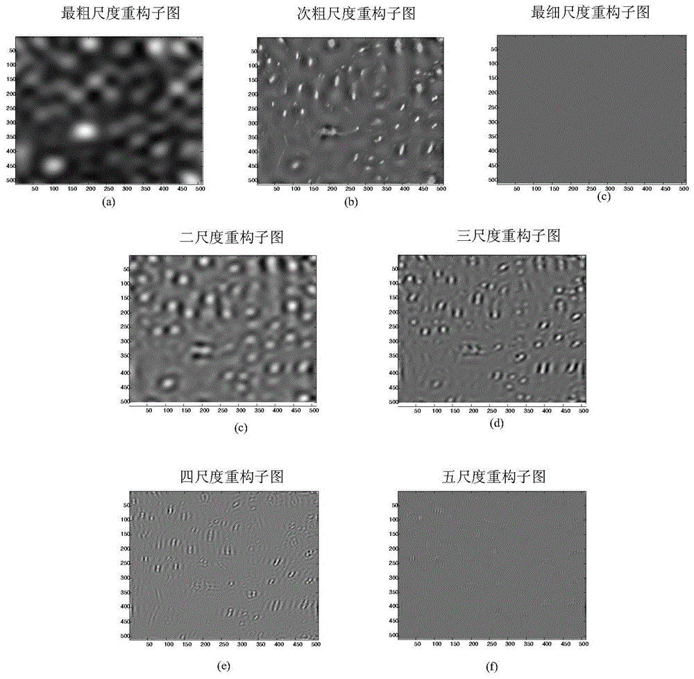 Extraction method of multi-scale and multi-directional texture features of foam images