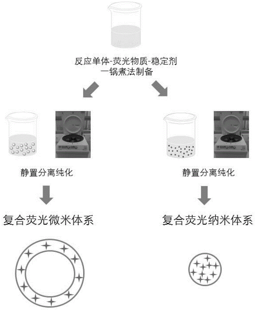 Compound fluorescent micro-nano system and preparation method thereof based on one-pot process