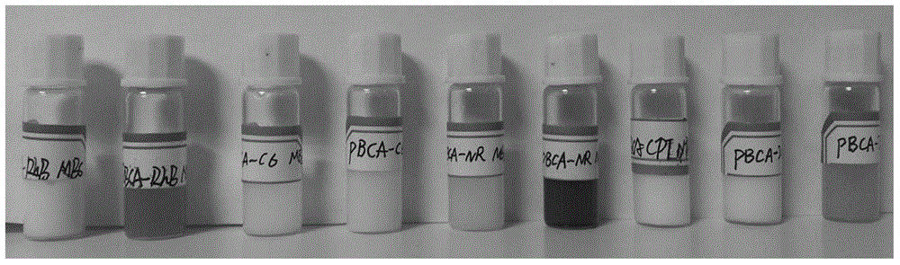 Compound fluorescent micro-nano system and preparation method thereof based on one-pot process