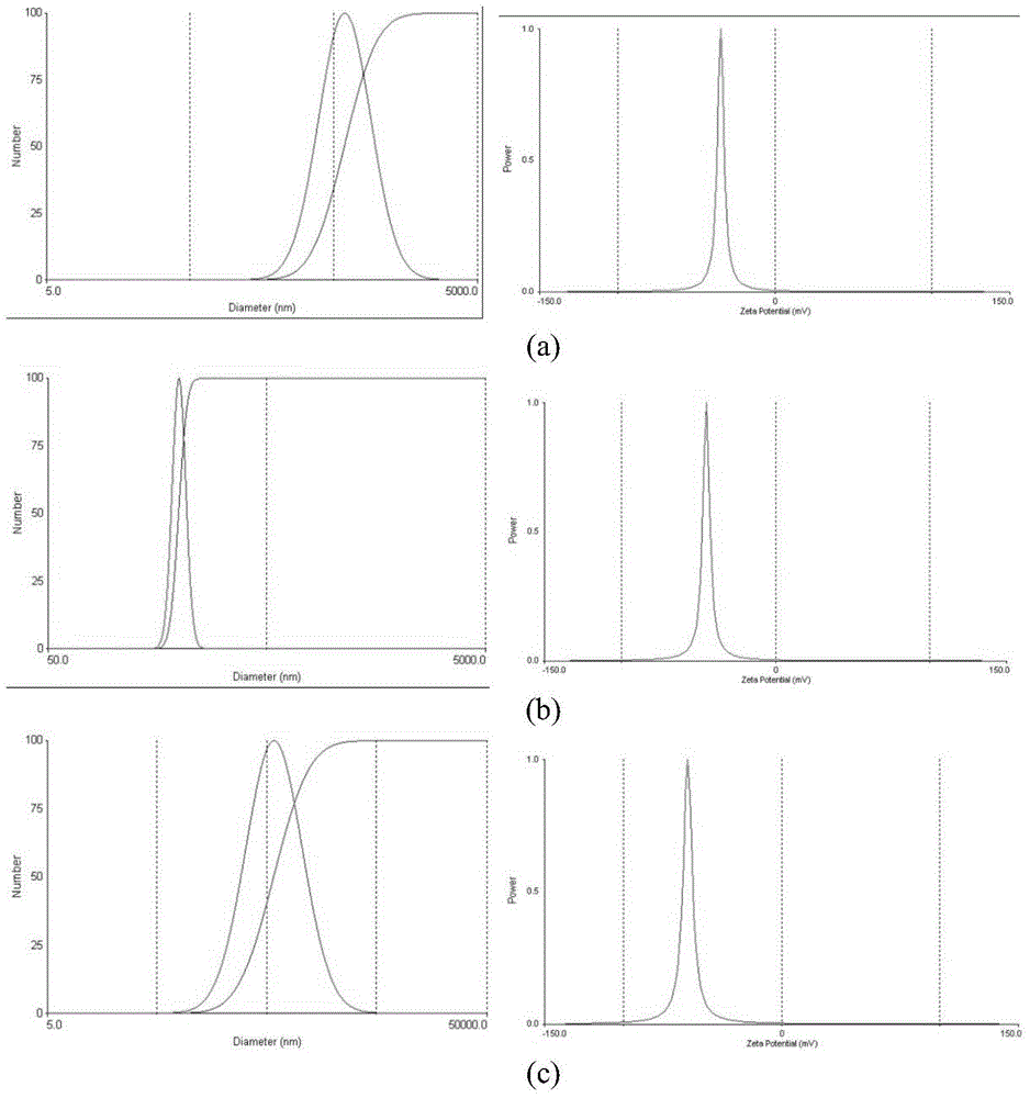 Compound fluorescent micro-nano system and preparation method thereof based on one-pot process