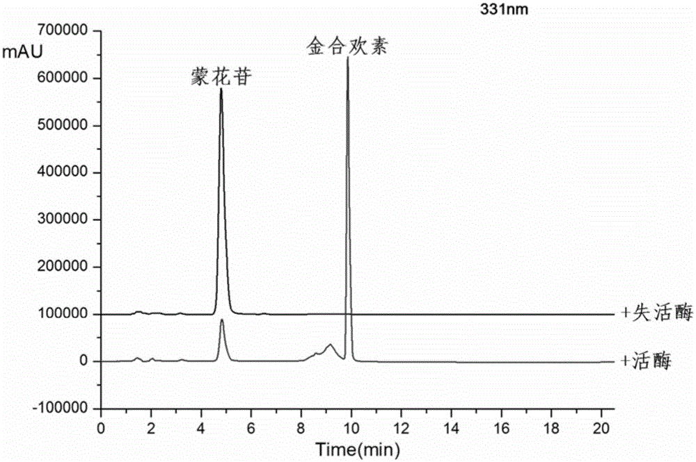 Method for preparing acacetin by enzymatic hydrolysis of buddleoside