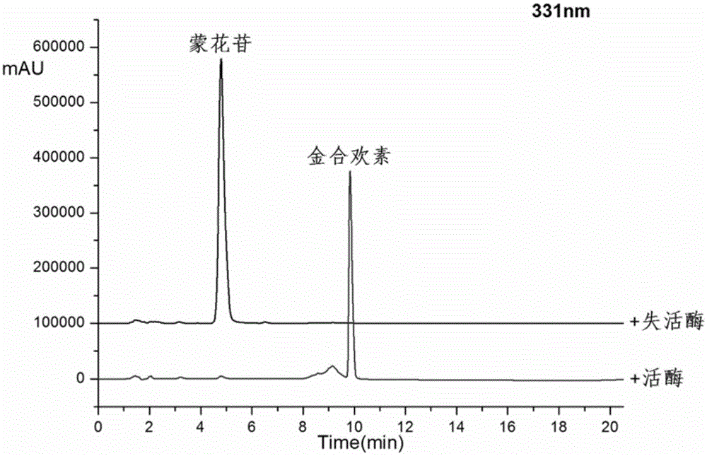 Method for preparing acacetin by enzymatic hydrolysis of buddleoside