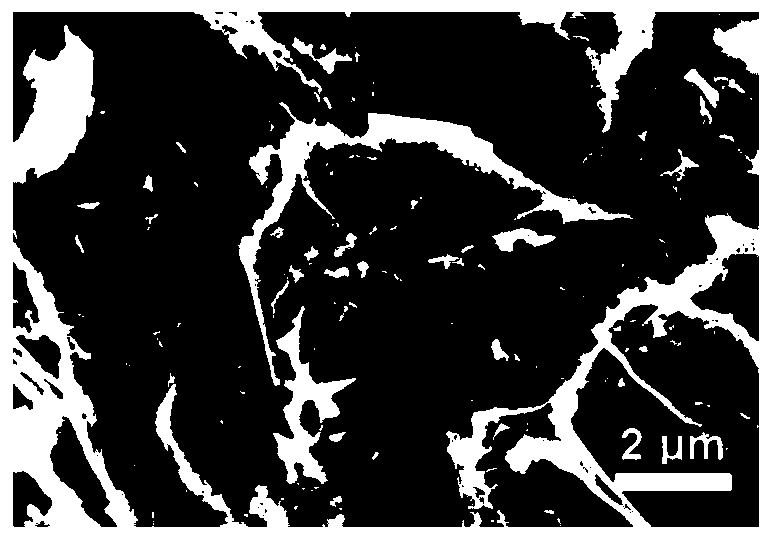 Preparation method and application of dual function expanded graphite/nanogold composite electrode