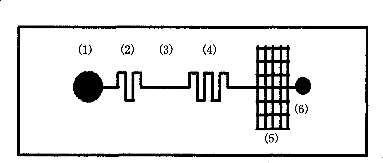 Micro-fluidic chip with an integrated PDMS surface tension minipump and application thereof