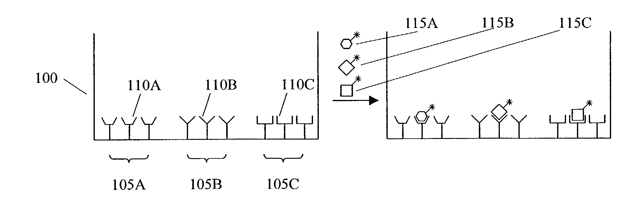 Methods and apparatus for conducting multiple measurements on a sample