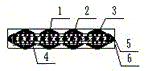 Optical fiber ribbon curing equipment