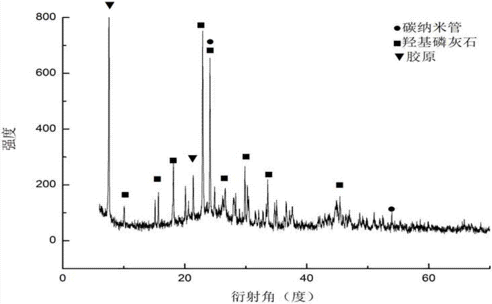 Preparation method of composite carbon nano tube reinforced hydroxyapatite material