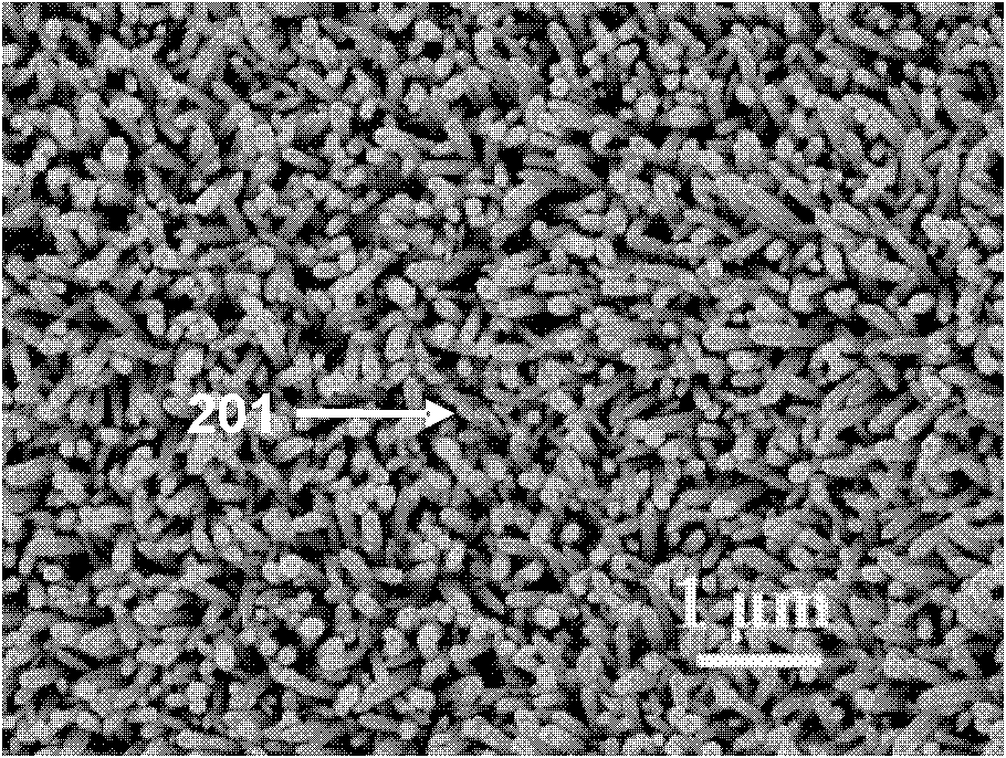 Oil and water separator based on micron-nano hiberarchy net membrane and application method thereof