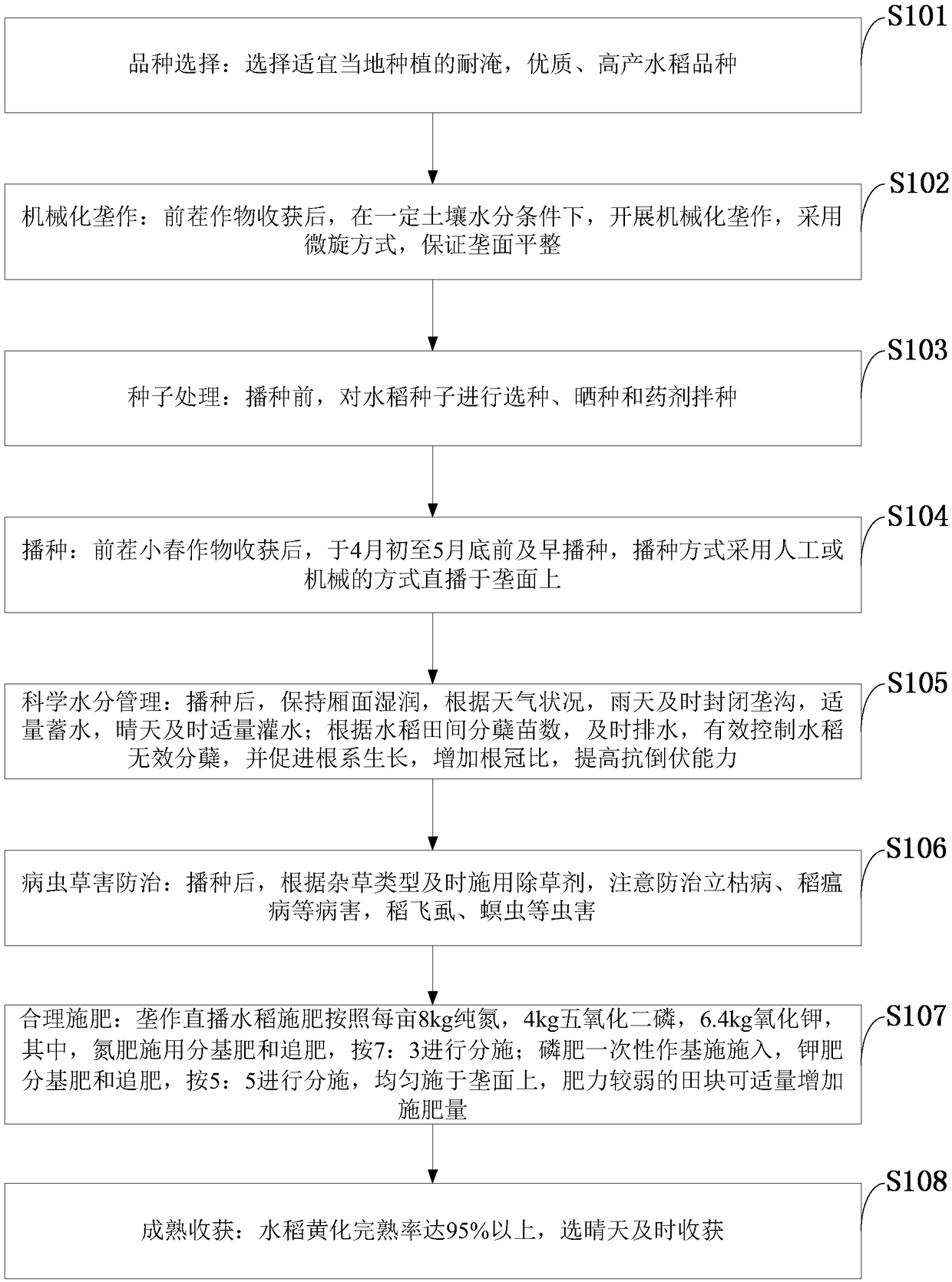 Efficient cultivation method with mechanized ridge-cultured rice direct seeding