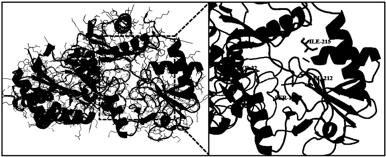 Omega-transaminase mutant capable of catalyzing sitafloxacin five-membered key intermediate