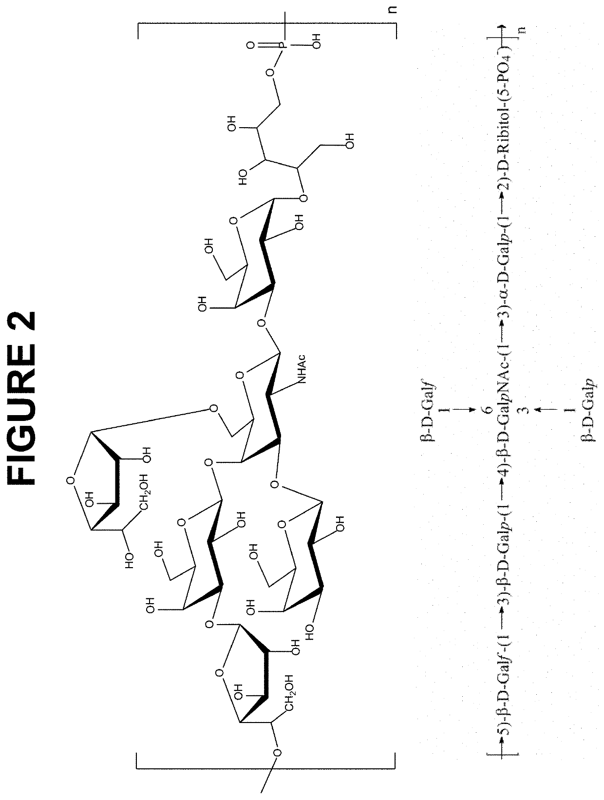 Immunogenic Compositions Comprising Conjugated Capsular Saccharide Antigens and Uses Thereof