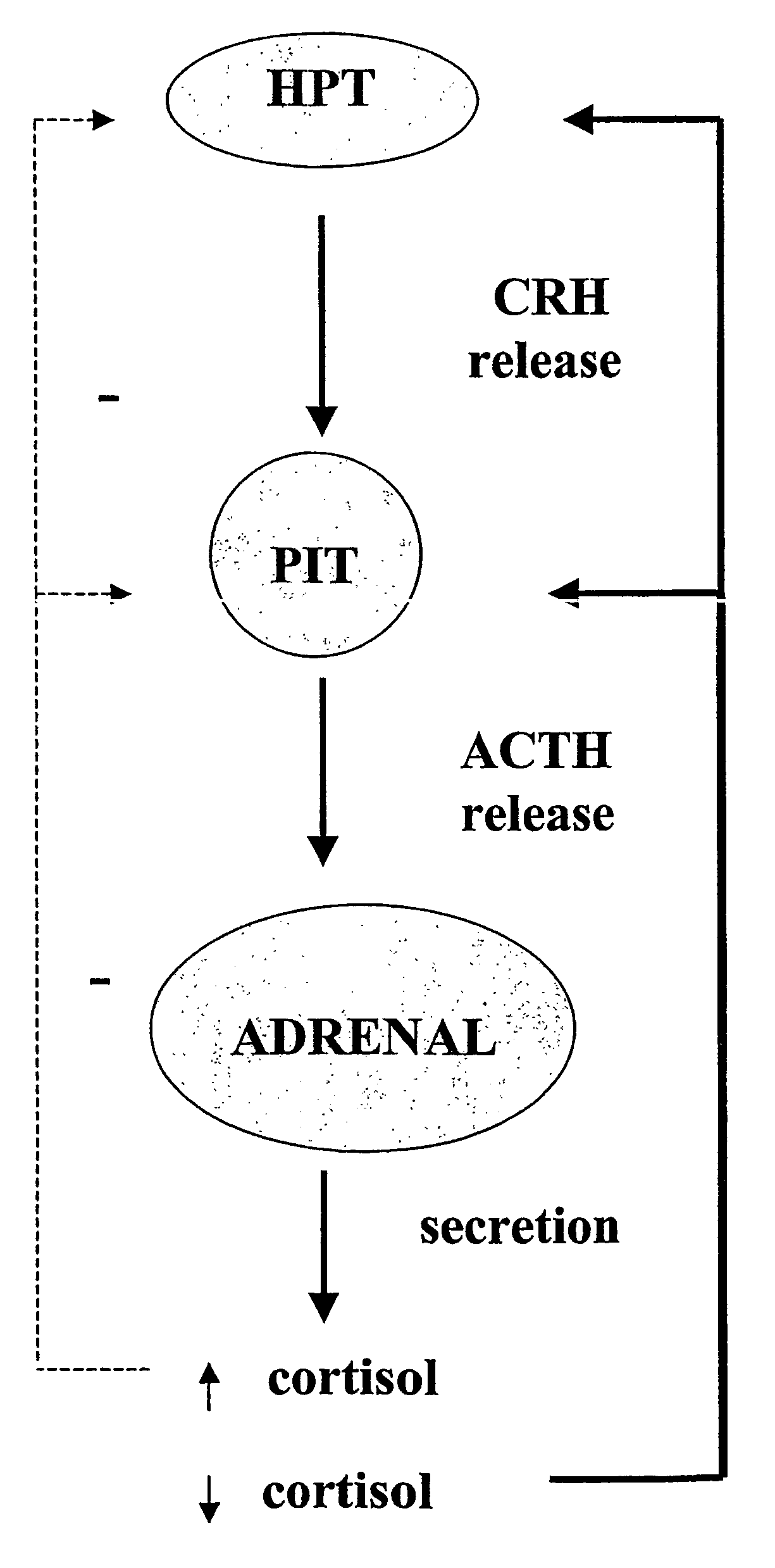 Sulfur analogues of 21-hydroxy-6,19-oxidoprogesterone (21OH-6OP) for treating excess of glucocorticoids