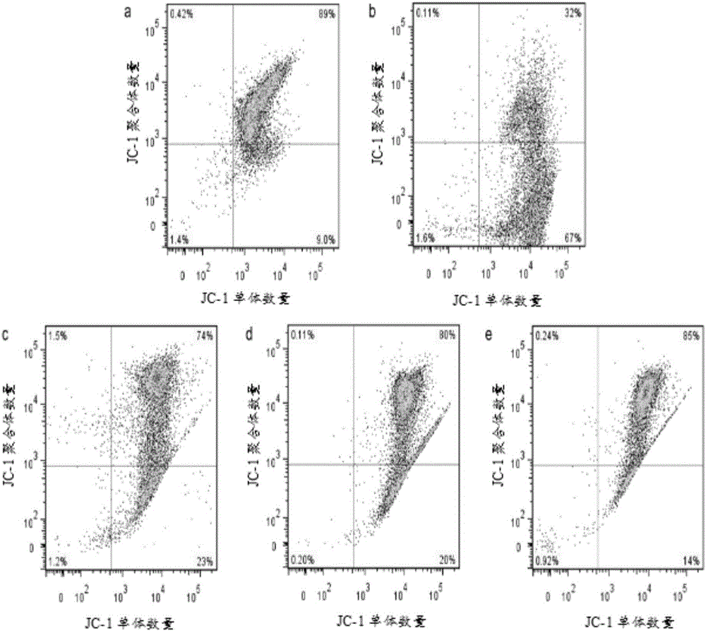 Applications of polydatin, and neuron mitochondrion injury treating medicine and preparation method thereof