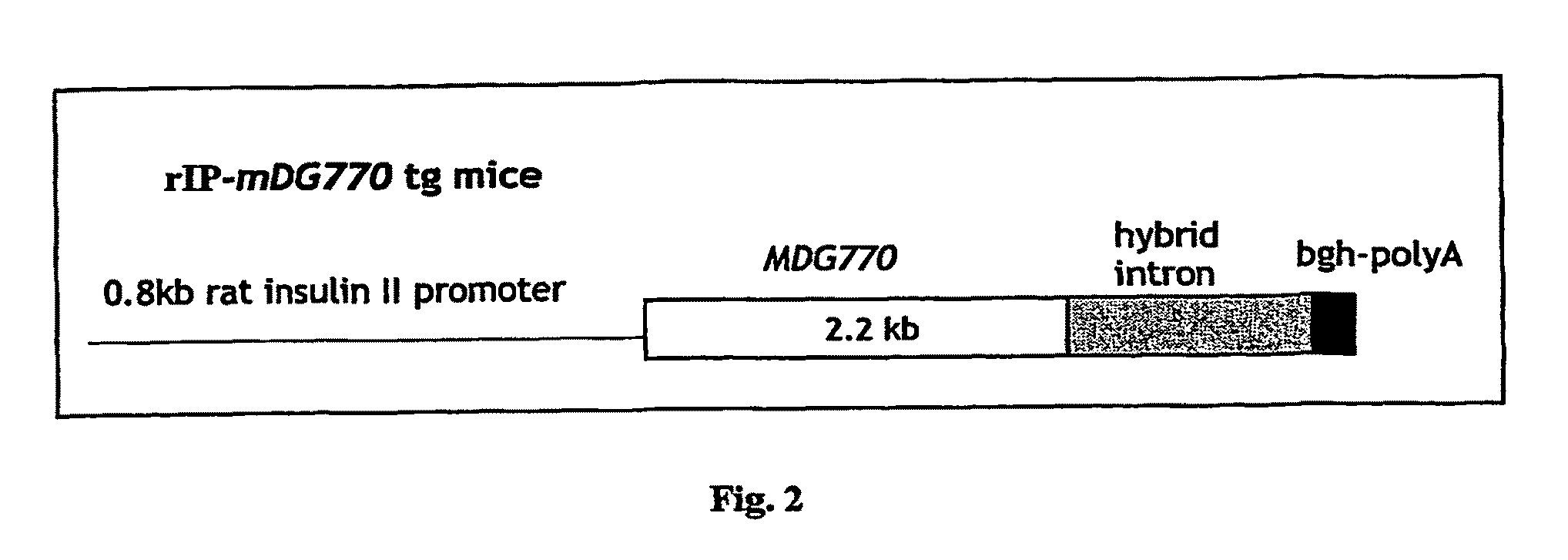 Method for preventing and treating diabetes using neurturin