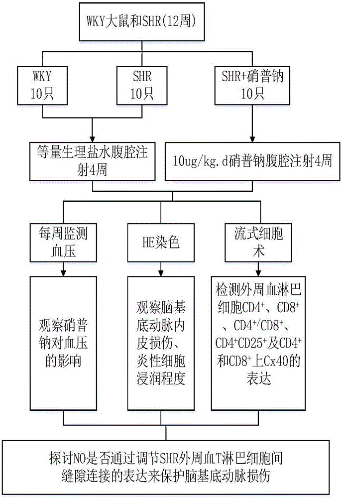 Experiment method for proving connection relationship between NO and slit