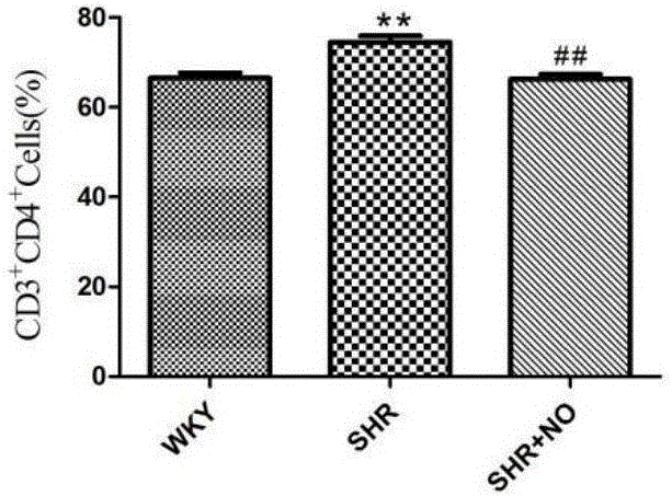 Experiment method for proving connection relationship between NO and slit