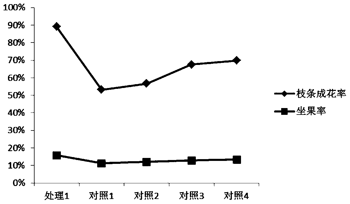 Ecological cultivation method for grapes