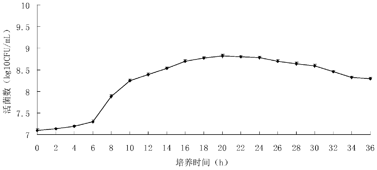 Lactobacillus plantarum with inhibition effect on ETEC, and fermentation product and application thereof