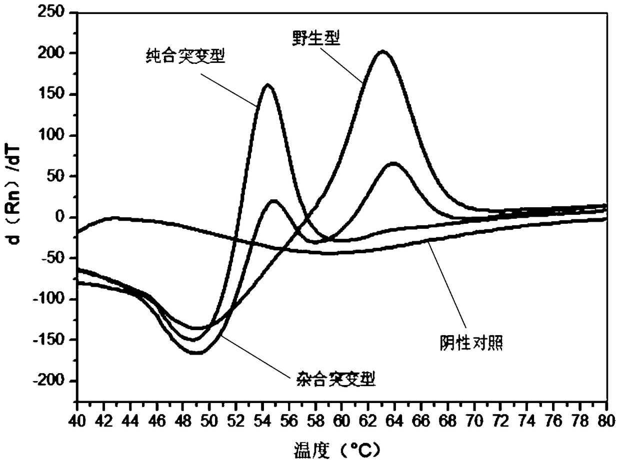 Specific primer group, test kit and test method for testing polymorphic sites of human MTHFR and MTRR genes