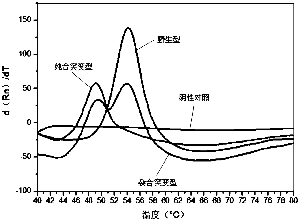 Specific primer group, test kit and test method for testing polymorphic sites of human MTHFR and MTRR genes