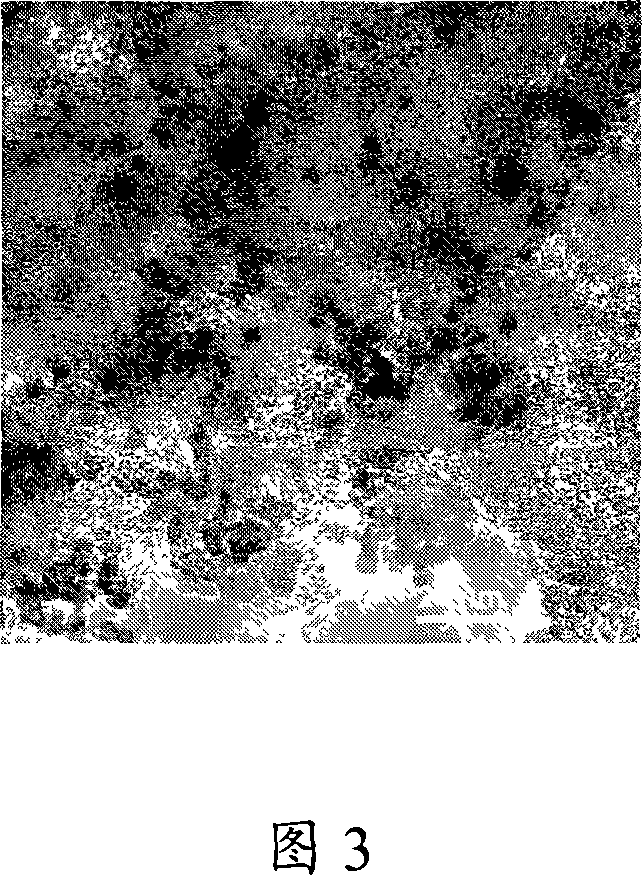 Method for producing H12MDA through hydrogenation reaction