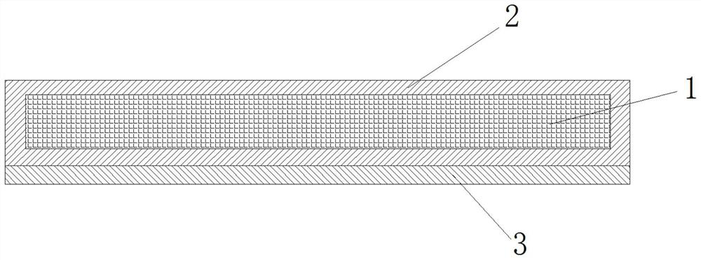 Preparation method and application of double-sided oleophobic superhydrophobic-superhydrophilic janus material