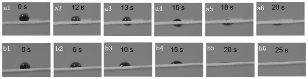 Preparation method and application of double-sided oleophobic superhydrophobic-superhydrophilic janus material