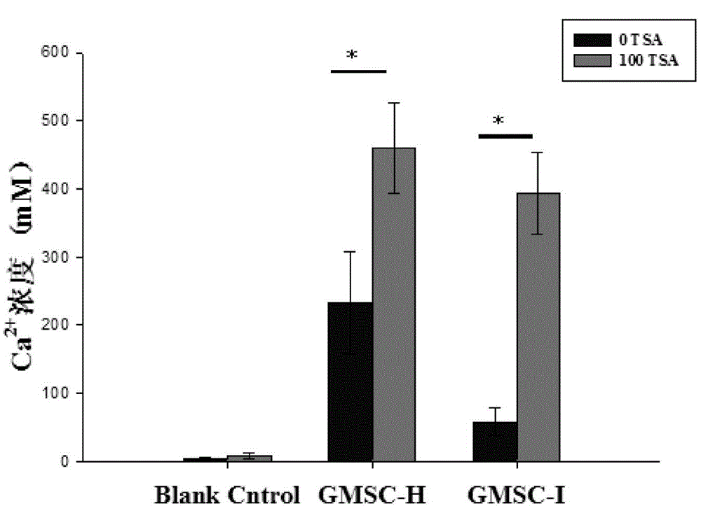 Application of histone deacetylase inhibitors in preparing osteoblast differentiation preparation of odontogenic stem cells