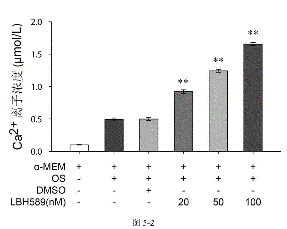 Application of histone deacetylase inhibitors in preparing osteoblast differentiation preparation of odontogenic stem cells