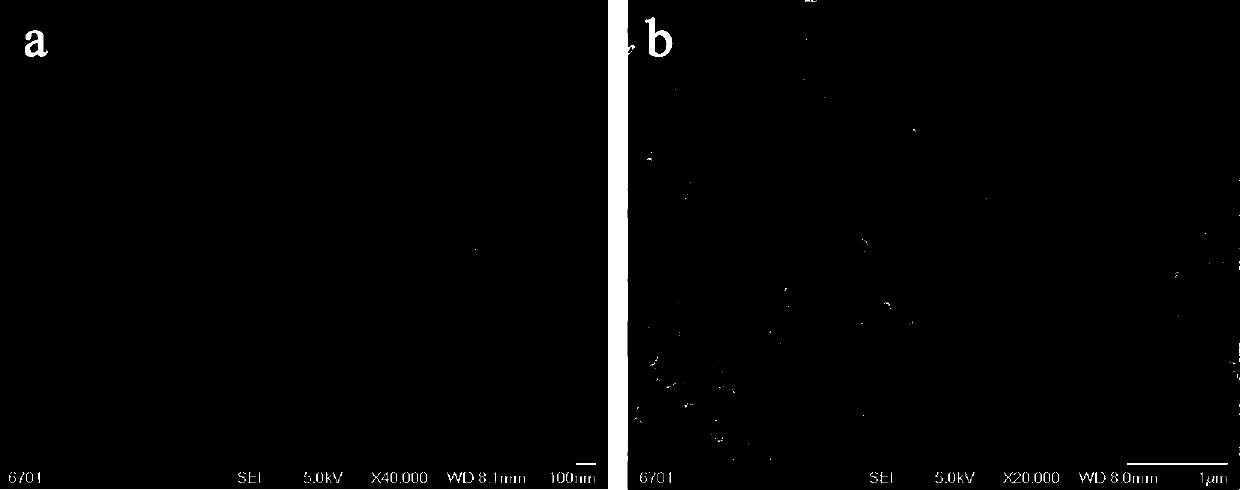 Method for preparing 1.1nm tobermullite by using low-grade attapulgite clay