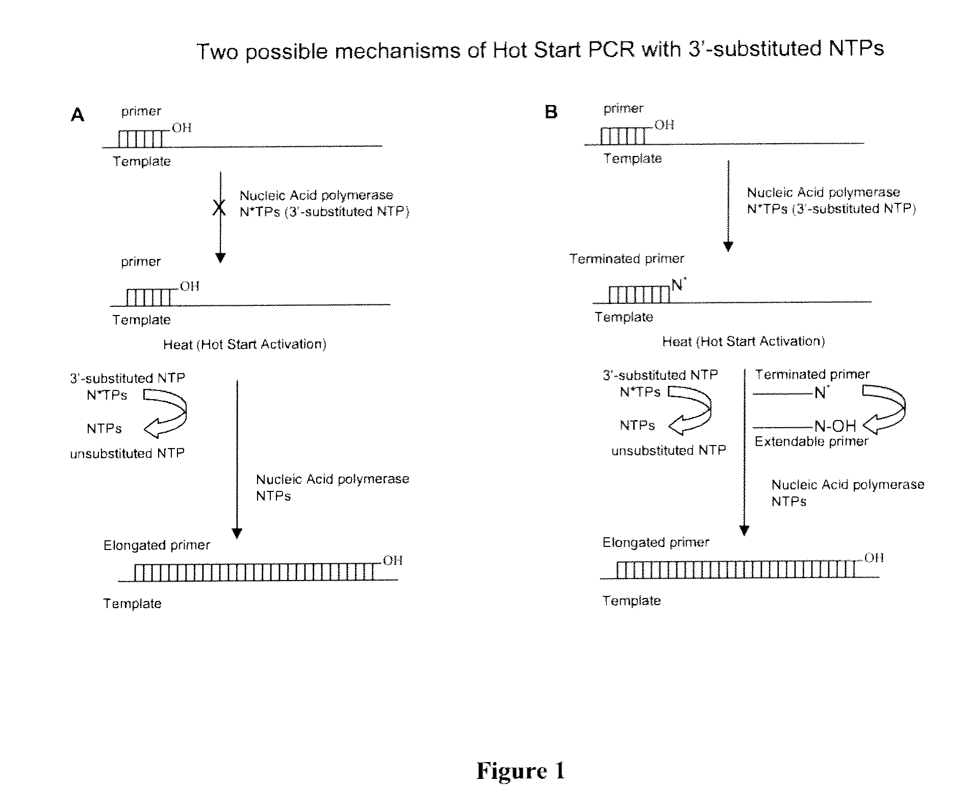 Chemically modified nucleoside 5'-triphosphates for thermally initiated amplification of nucleic acid