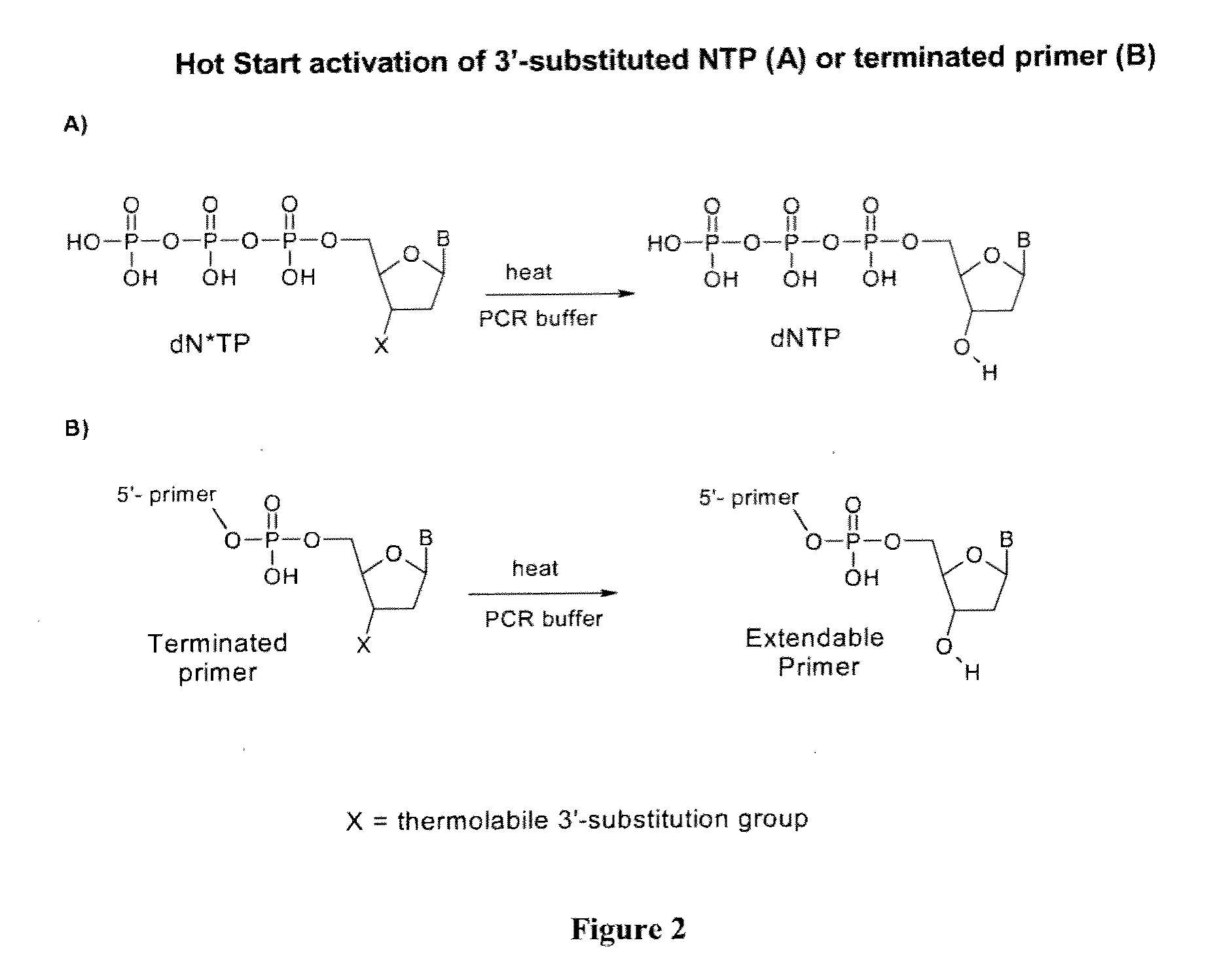 Chemically modified nucleoside 5'-triphosphates for thermally initiated amplification of nucleic acid