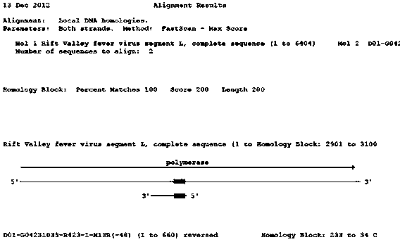 Rift Valley fever virus nucleic acid molecule characteristic standard sample and preparation method thereof