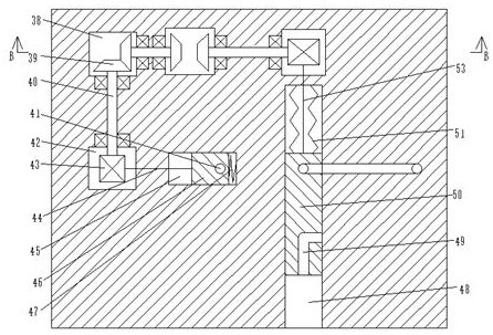 A sewage detection device capable of sampling at a specific depth