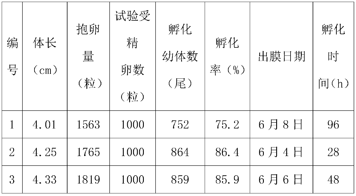 Method for improving in vitro hatching rate of fertilized eggs of macrobrachium nipponense