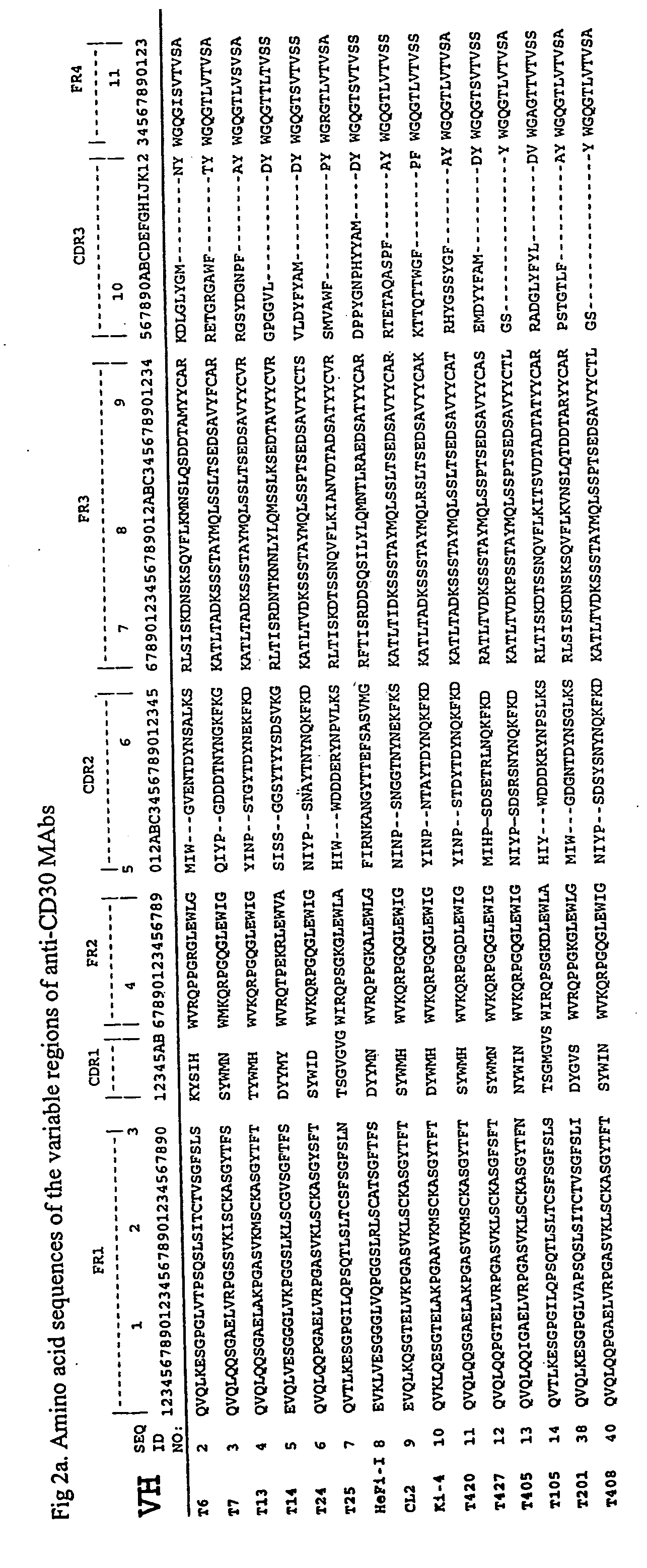 Anti-cd30 stalk and anti-cd30 antibodies suitable for use in immunotoxins