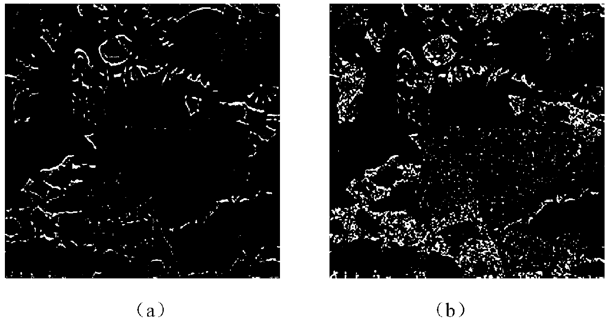 Layered self-adaptive threshold video denoising method